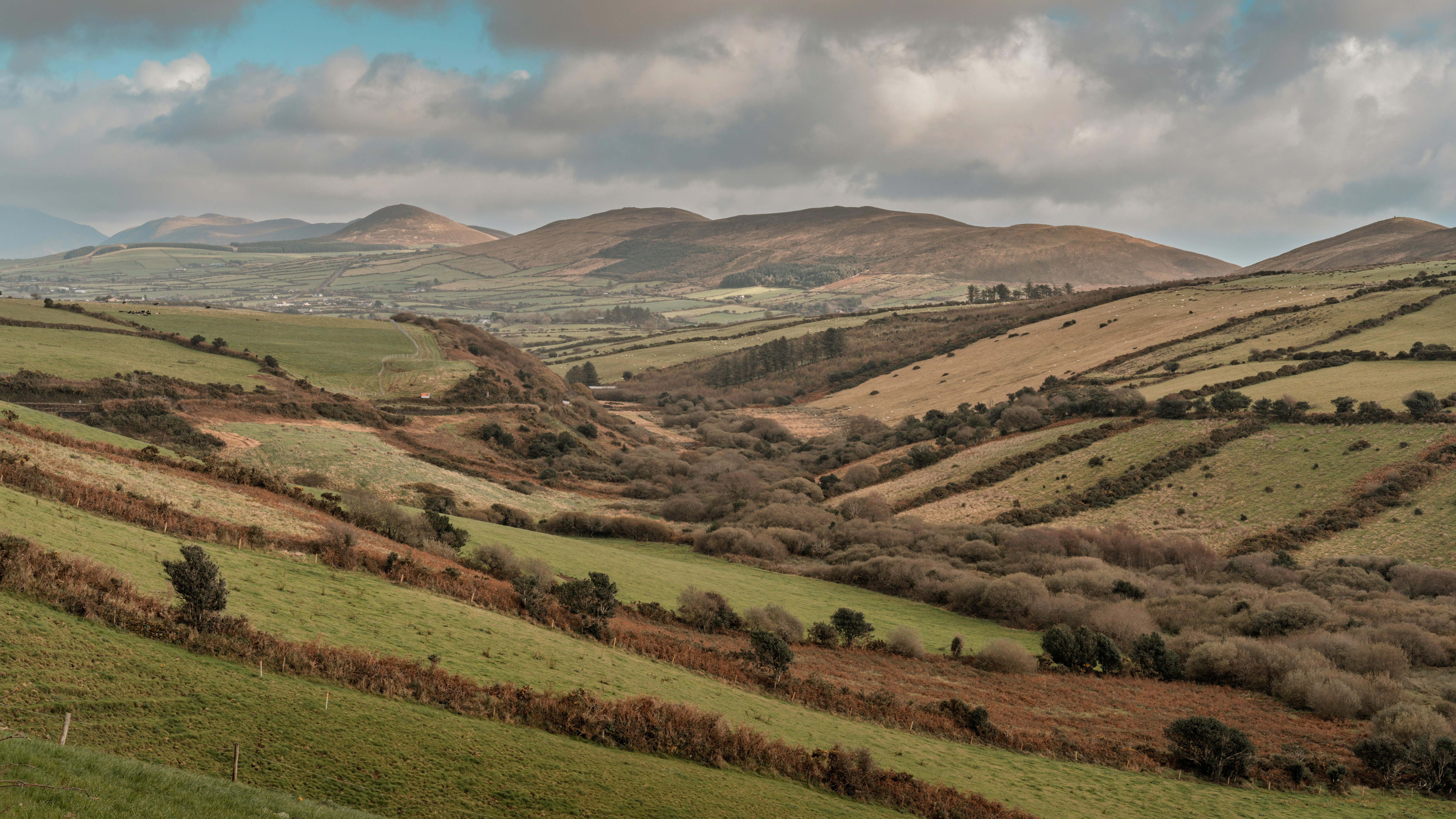 Irish farmland with rolling green fields