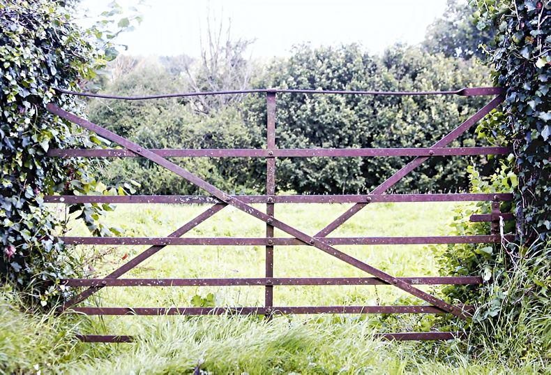 Painted farm gate and entrance in Irish countryside