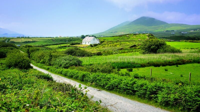 Rolling green hills of the Northern Irish countryside with farmhouses