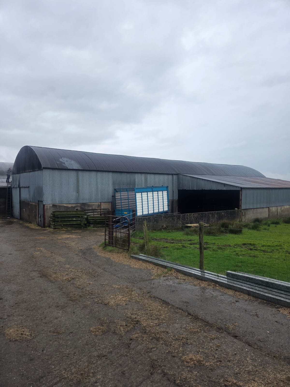 Corrugated farm barn with blue gate before painting
